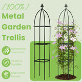 Lancisism 100% Metal Trellis for Climbing Plants Outdoor - Garden Metal Obelisk Trellis Vertical Plant Support for Climbing Vines & Flowers - Sturdy Steel Arch Trellis for Potted Plants Indoor Green