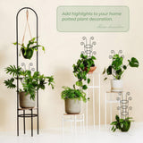 QIAOKAIYAN 4 Pack 30 Inch Tall Metal Plant Trellis for Climbing Plants Indoor - Rustproof Garden Trellis for Potted Houseplants, Sturdy Support for Ivy, Pothos, Monstera, Hoya & Flower Vines