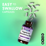 Bluebonnet Vegetarian Glucosamine with MSM Supplement - Shellfish-Free Joint Support Supplement for Women & Men - Vegetable Glucosamine HCI - Vegan, Kosher, Free of Soy, Gluten & Dairy - 120 V Caps