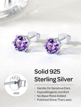 ChicSilver February Birthstone Earrings for Women 925 Sterling Silver Small Round Amethyst Stud Earrings Hypoallergenic