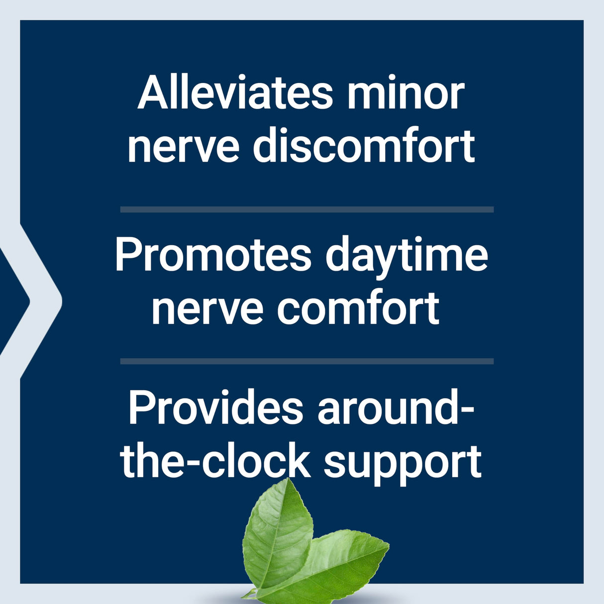 Life Extension ComfortMAX™, honokiol and Pea for Nerve Support & discomfort Relief, Gluten-Free, Non-GMO, Vegetarian, 60 Tablets