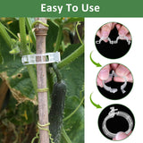 400 Pcs Plastic Trellis Plant Support Clips for Support, Grape and Tomato Vine, Vegetables Plants, Garden Clips to Grow Upright Makes Plants Healthier