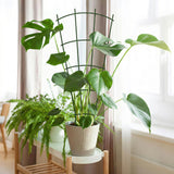 Thealyn 24" Metal Plant Trellis, Climbing Plant Support, 4 Pack (Green)