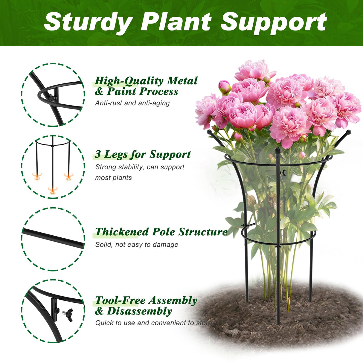 4 Pack Peony Cages and Supports, 12.5"Dx24"H Dual-Ring Metal Plant Supports