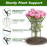 4 Pack Peony Cages and Supports, 12.5"Dx24"H Dual-Ring Metal Plant Supports