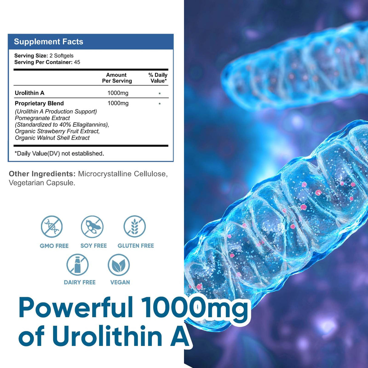 DQQI 1000 MG Urolithin A Supplement, 90 Softgels Powerful Antioxidants for Healthy Aging and Mitochondrial Support, Cell Repair