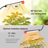 FRGROW 4Head Grow Light with Stand for Tall Indoor Plants, Bonsai Tree, Bright Full Spectrum Plant Growing Lamps, 4/8/12/16/20H Timer, 36 Watt Power Draw, NO Need Adapter, 360° Gooseneck