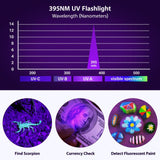 MOWETOO UV Flashlight, Portable Blacklight Flashlight, LED Torch with White and Ultraviolet Light Combo, Black Light Pet Urine Detector for Dog Cat Pee, ID Check, AC Leak, Bed Bug, Rocks, Resin (2)