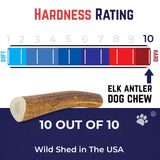 Devil Dog Pet Co Whole Elk Antlers for Dogs, Medium, Aggressive Chewers