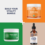 Vimergy Wild Blueberry Powder –Protects Brain Health* - Supports Cardiovascular Function* – Organic, Vegan & Gluten-Free – Trial Size 125g