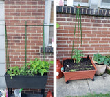 36 Inch Plant Support Garden Stakes, Steel Tomato Plant Stakes, Pack of 25