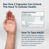 HPN NAD+ Booster – Nicotinamide Riboside Alternative (NAD3) for Men & Women | Anti Aging NRF2 Activator, 312 mg per Serving – Natural Energy Supplement for Longevity & Cellular Health, 30 Veggie Pills