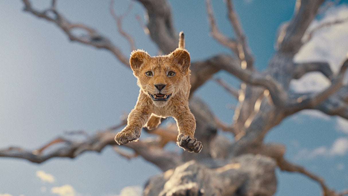 Mufasa: The Lion King [DVD]