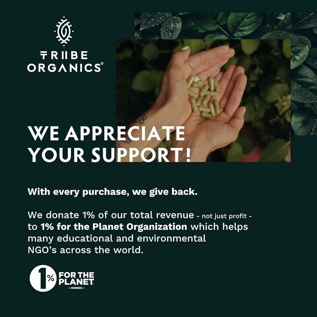 TRIBE ORGANICS Ashwagandha KSM 66 Pure Organic Root Powder Extract Ayurvedic Supplement - Focus, Mood Support, Increase Energy, Strength, 600mg of Natural KSM66 for Superior Absorption - 120 Capsules