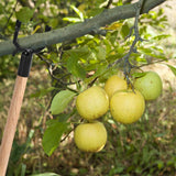 Coloch 20 Pack Metal Tree Branch Support, Y-Shape Tree Crutch Holders Plant Straightening and Leaning Kit Propping Up Branch Spreaders for Fruit Trees, Garden, Fit 0.75 in Round Pole