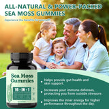 Hemdnt Sea Moss Gummies 16-in-1, with Bladderwrack & Burdock Root, Organic Immune Support, Energy, Digestion – Vegan, Non-GMO, Gluten-Free (60 Gummies)