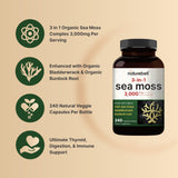 Irish Sea Moss Capsules, 3,000mg Per Serving, 240 Veggie Pills | Made with Organic Raw Powder, Plus Bladderwrack & Burdock Root, Sea Vegetable Complex – Immune & Thyroid Superfood Support – Non-GMO