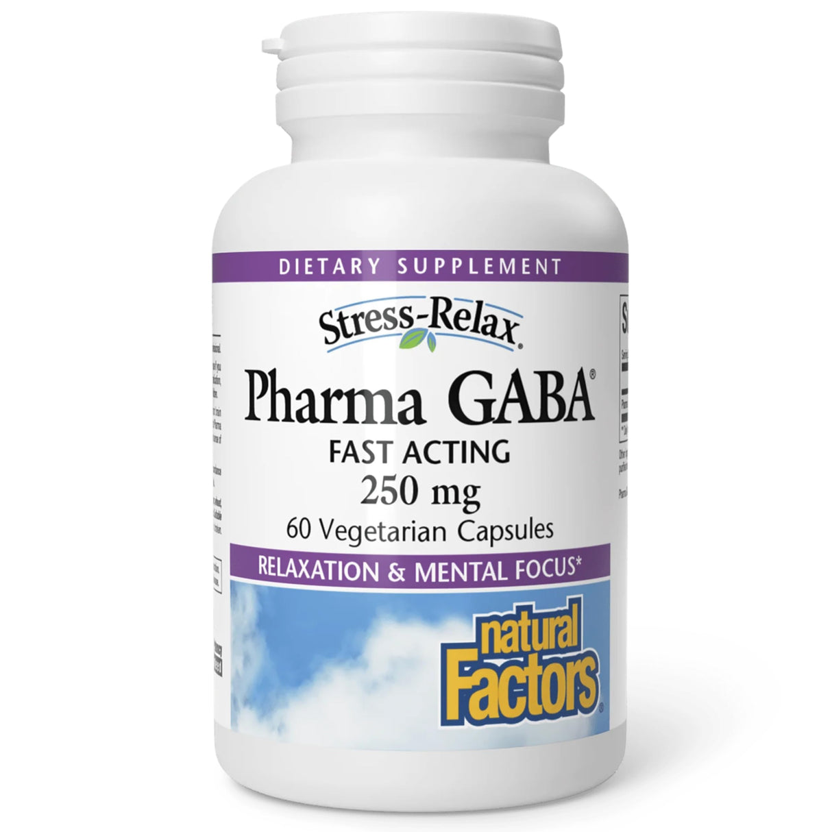 Natural Factors Stress-Relax Pharma GABA 250 mg, Non-Drowsy Stress Support for Relaxation and Mental Focus, 60 Vegetarian Capsules