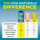 Viva Naturals Collagen Peptides Powder - Grass-Fed Hydrolyzed Bovine, Type I & III - 19 g Protein, Unflavored, Easy Dissolving - Joint, Skin, Hair & Nail Support - Paleo, Keto, Non-GMO - 1lb