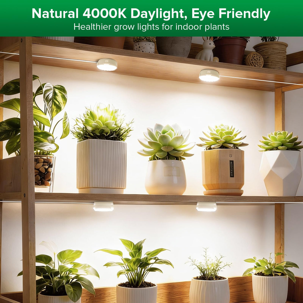 SANSI 20W(5W*4) Puck Grow Lights for Indoor Plants Full Spectrum, 4 Head Plant Lights for Indoor Growing, LED Plant Lamp for Growth with Timer, Auto On Off 4 8 12 Hrs Greenhouse,No Dimmable