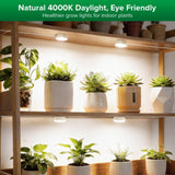 SANSI 20W(5W*4) Puck Grow Lights for Indoor Plants Full Spectrum, 4 Head Plant Lights for Indoor Growing, LED Plant Lamp for Growth with Timer, Auto On Off 4 8 12 Hrs Greenhouse,No Dimmable