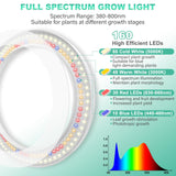 LORDEM 10" Grow Light for Indoor Plants, Full Spectrum Plant Lamp with 160 LEDs, 4H/8H/12H Timer, 6 Dimmable Levels, 3 Spectrum Modes, Height Adjustable 65", Ideal for Growing Large Tall Plants