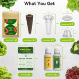 Inbloom 7-Pods Salad Greens Seed Pod Kit for AeroGarden, Ahopegarden, Gardencube Hydroponic Garden with Spinach, Buttercrunch, Paris & American Lettuce, Swiss Chard, Arugula, Bok Choy - 350 Seeds
