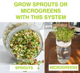 Premium Seed Sprouting Kit & Green Onion Regrower – 2 Wide-Mouth Mason Jars with Sprout Lids, Stainless Stand, Drain Tray, Blackout Sleeves & Cleaning Brush for Broccoli, Alfalfa & Mung Beans