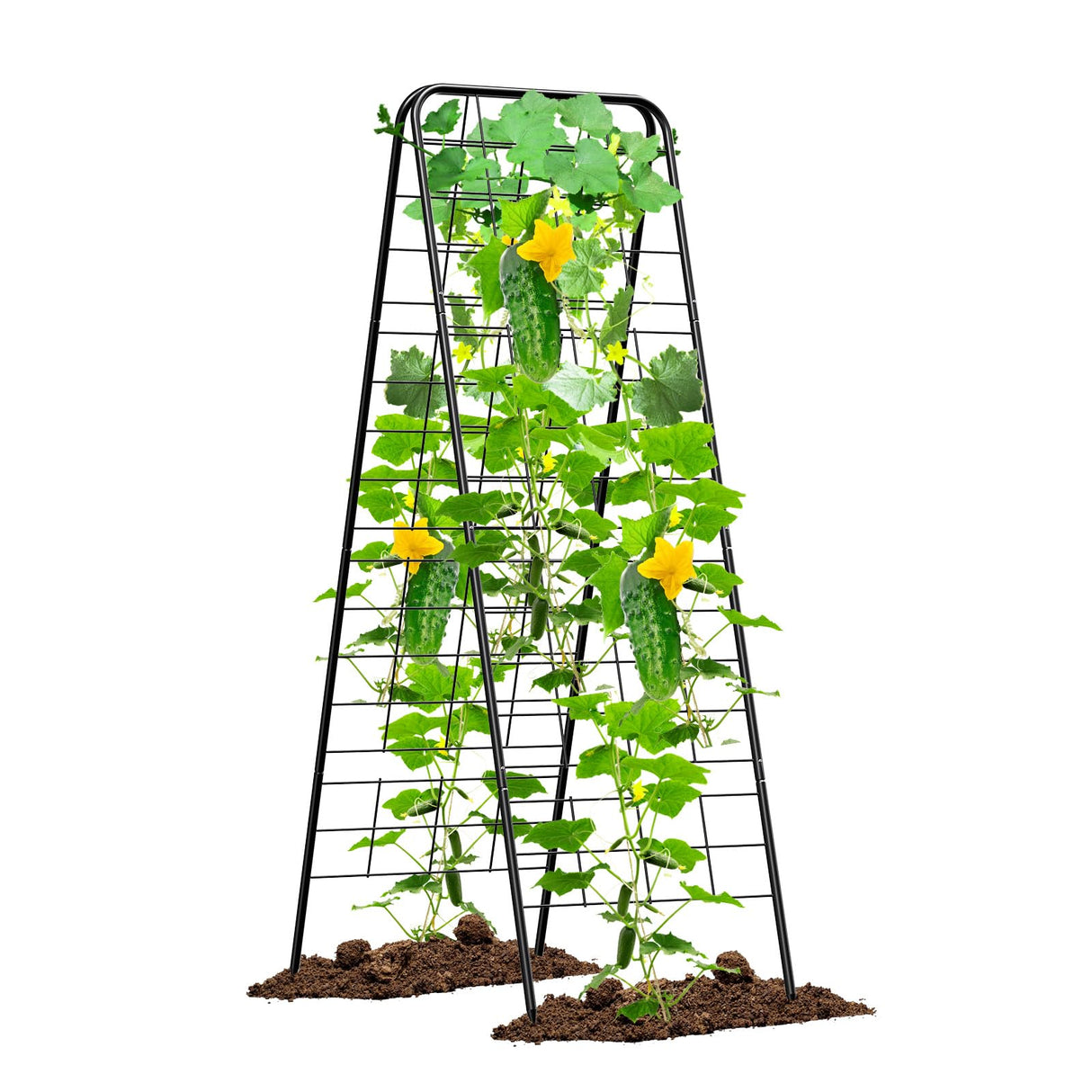 Heavy Duty Cucumber Trellis, 50" x 17" A-Frame Garden Trellis.1Pack