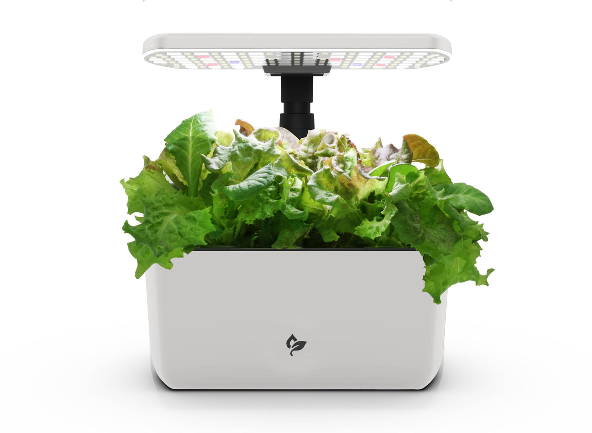 AeroGarden Harvest Lite, Cream