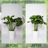 YOHSNOR 5PCS Monstera Plant Support Hooks-Gold 5.5in Stem Supports