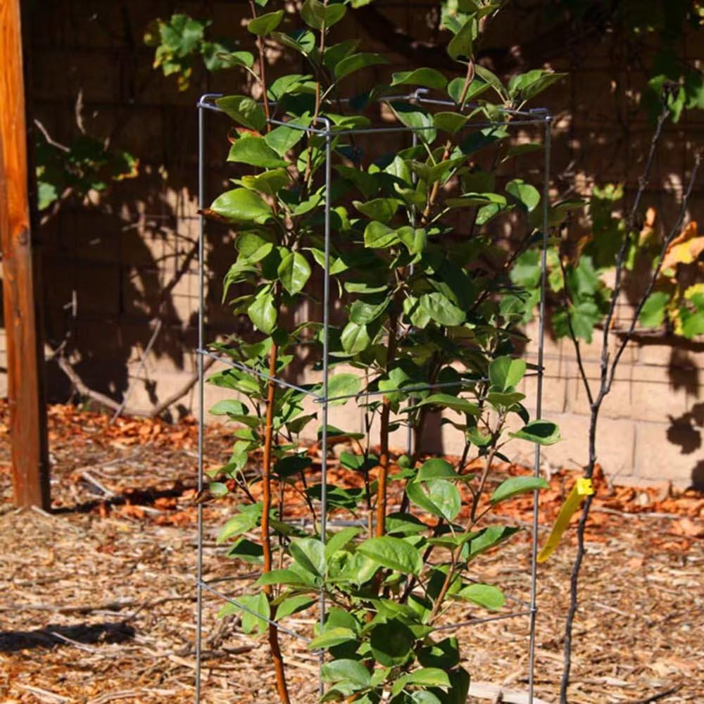 Galvanized Square Folding Tomato Cage Plant Support Stake Tower 12 inch by 46 inch, Pack of 10 Sets(Also Sold as Pack of 2 & 5,PVC Green is Available)