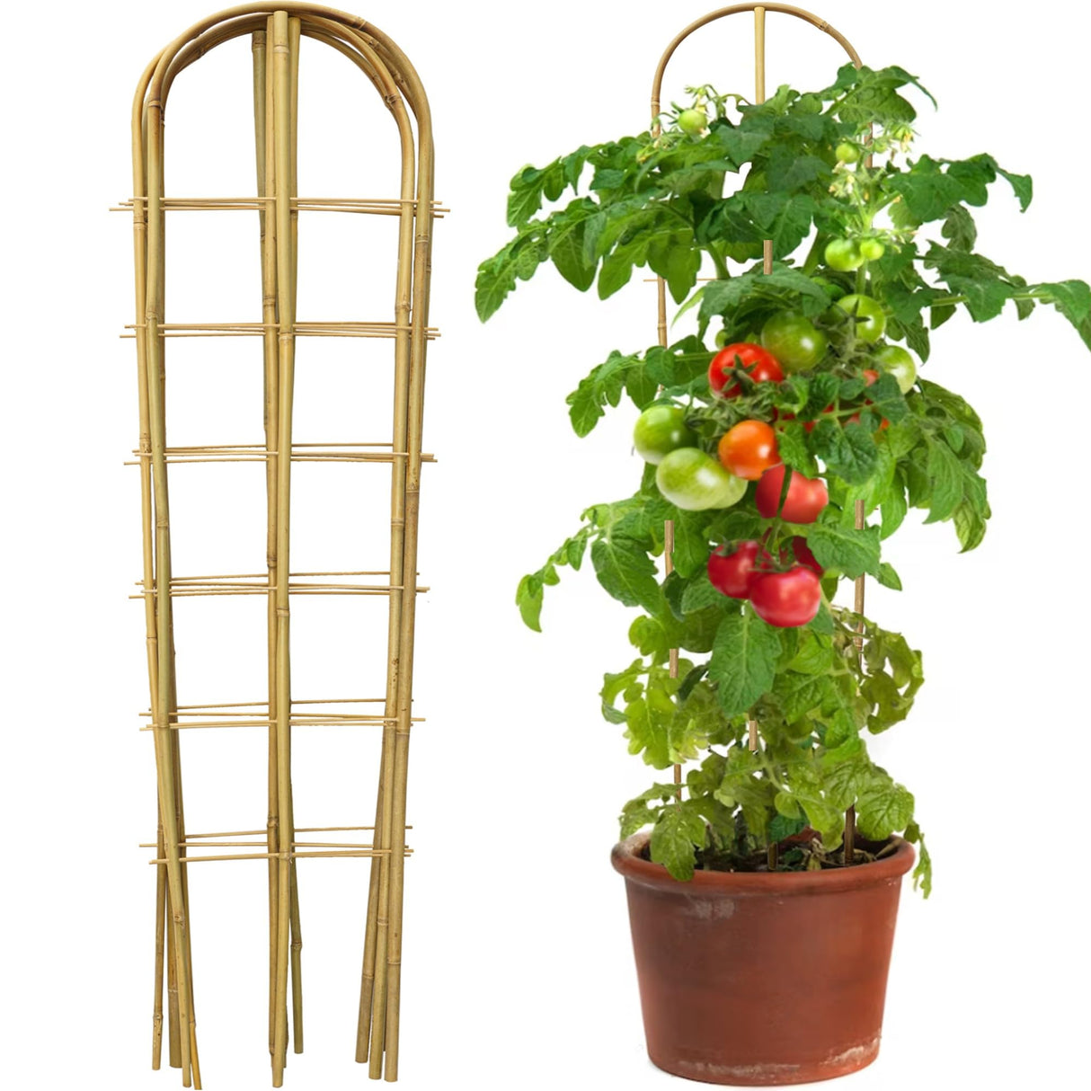Taoskai 3 Pack 4 Feet U-Shape Bamboo Trellis, Natural Garden Bamboo Trellis for Climbing Plants, Vegetables, Cucumber, Tomato, Outdoor and Indoor Potted Plants