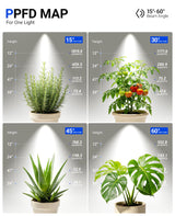 Barrina TR40a Track Plant Lights for Indoor Growing, 40W Ceiling Grow Lights with Adjustable Beam Angle (15°-60°), 5000K Full Spectrum Wall Plant Light with Timer for Greenhouse, Black Cover