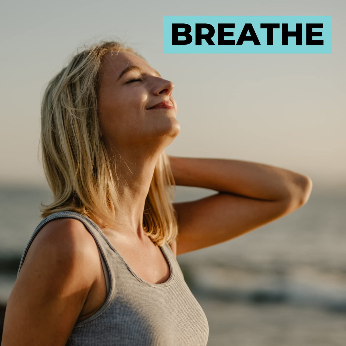 Nurture Nutri Organic Sea Moss Complex - 120 Irish Sea Moss Capsules | Sea Moss Organic | Irish Sea Moss Organic Raw | Seamoss Raw Organic | Sea Moss and Bladderwrack Capsules | Seamoss Pills |