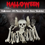 XONOR 28 Pieces Skeleton Bones and Skull for Halloween Decor or Spooky Graveyard Ground Decoration (28PCS)