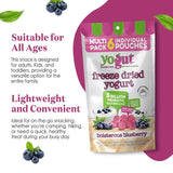 YoGut Freeze Dried Yogurt Snack, Blueberry, 6 Pack, Healthy Snacks for Kids, Toddlers & Adults, Gluten Free, Non GMO, With 5 Billion Live Probiotics, Vitamins & Minerals, Individual Snack Packs