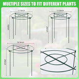 8 Pack Peony Cages and Supports, 11.5 x 20 Inch Plant Support Cage Set
