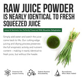 Organic Barley Grass Juice Powder - Grown in Volcanic Soil of Utah - Raw & BioActive Form, Cold-Pressed then CO2 Dried – Gluten Free, GMO free, Vegan - Complements Wheatgrass Juice Powder - 5.3 oz