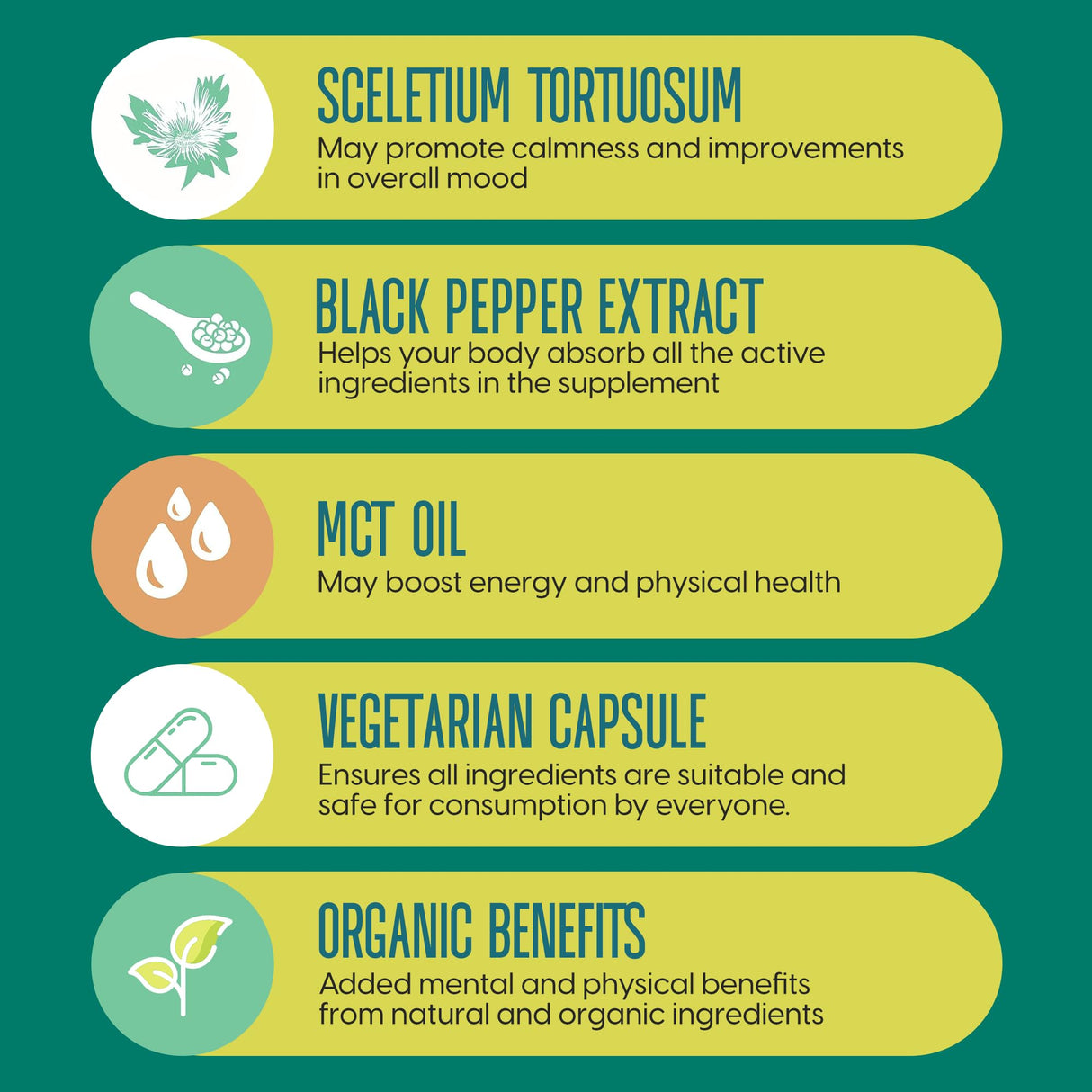 G1 NUTRITION Kannect Sceletium Tortuosum Dietary Supplement - 100mg Nano Infusion Extract for a Natural Calm & Mood Boost - Enhances Mental & Physical Health - 30 Servings