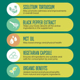 G1 NUTRITION Kannect Sceletium Tortuosum Dietary Supplement - 100mg Nano Infusion Extract for a Natural Calm & Mood Boost - Enhances Mental & Physical Health - 30 Servings