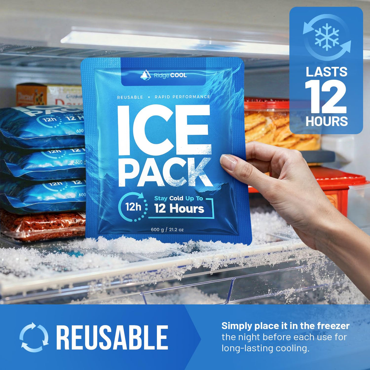 RIDGECOOL 4 Pack Large Reusable Ice Packs for Coolers, BPA-Free Freezer Packs for Cooler, Leakproof, Food Safe, Long Lasting, 9.8 x 8.6 in
