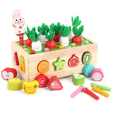 Toddlers Montessori Wooden Educational Toys for Boys Girls Age 1-3 Year Old