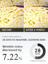 Depology Peptide Serum Duo, MATRIXYL® 3000 Serum + Peptide Complex 10% Wrinkle Defense, Argireline™ Peptide Serum, Hydrating Face Serum Targets Dynamic Wrinkles