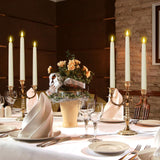 Flameless Taper Candles with Remote Control and Timer, Battery Operated LED Candlesticks with Flickering 3D Flame, 9.6 Inches Plastic Fake Candles for Christmas, Wedding and Home Decor (Ivory, 15)