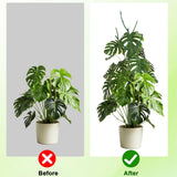 PERSZEN 15 Pack Stackable Plant Support Stakes, Garden Trellis for Climbing Plants Indoor and Outdoor Use, Plant Accessories for Potted Plants Monstera, Plant Sticks for Climbing Plant Stems