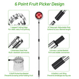 BURMONG 13.8 FT Telescoping Fruit Picker Pole with Soft Basket, Long Reach Tree Fruit Harvester Tool for Apple, Mango, Orange & More, Extendable Fruit Picking Tool for Garden Orchard