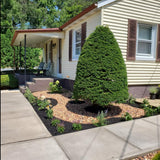 Asoleo Garden Edging, 40FT Landscape Edging with 40 Landscape Spikes, Pever Edging, No Dig Garden Edging Lawn Border, Border Edging for Landscaping