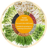 OYSIR Bean Sprouts Machine, LED Display Time Control, Intelligent Automatic Bean Sprouts Maker, 2 Layers Function Large Capacity Seed Grow Cereal Tool, 110V