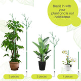 6 Pack Plant Support Stakes for Indoor Plants, 39.37 Inch Tall Twig Plant Sticks with Orchid Clips Twist Ties and Plant Ties for House Potted Monstera Plants Support, Green